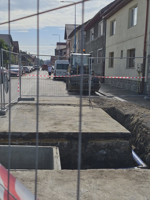 Str. Codrii Cosminuluijpg
